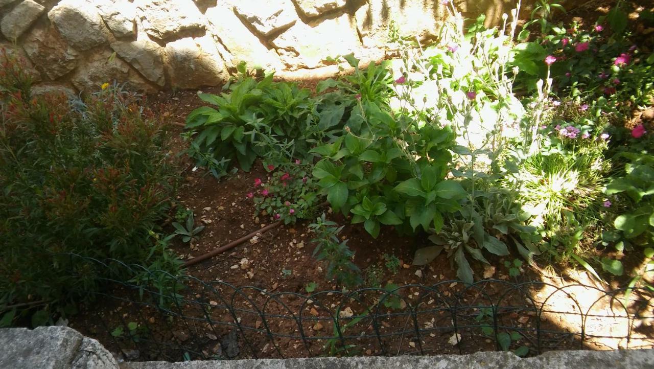 Vitkovic Ii Appartement Cres