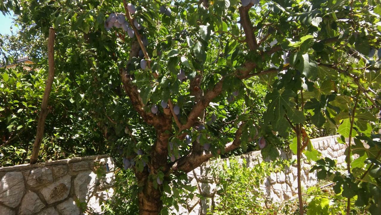Vitkovic Ii Cres