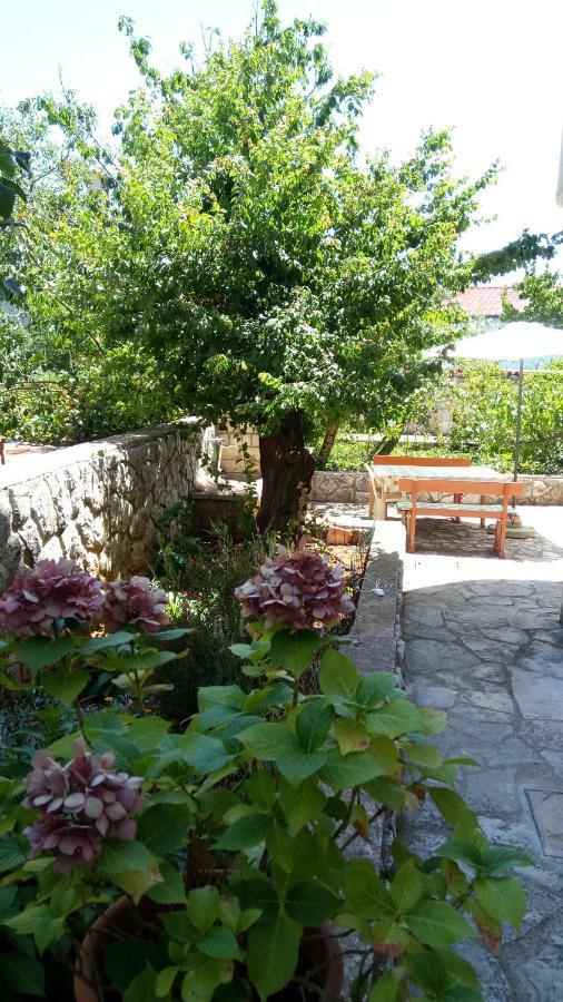 Vitkovic Ii Apartamento